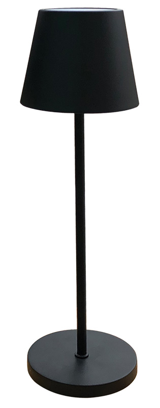 Stalinis LED šviestuvas Zyle ZY12381