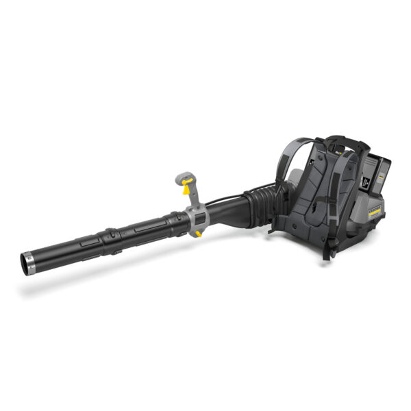 Lapų pūstuvas LBB 1060/36 Bp Pack