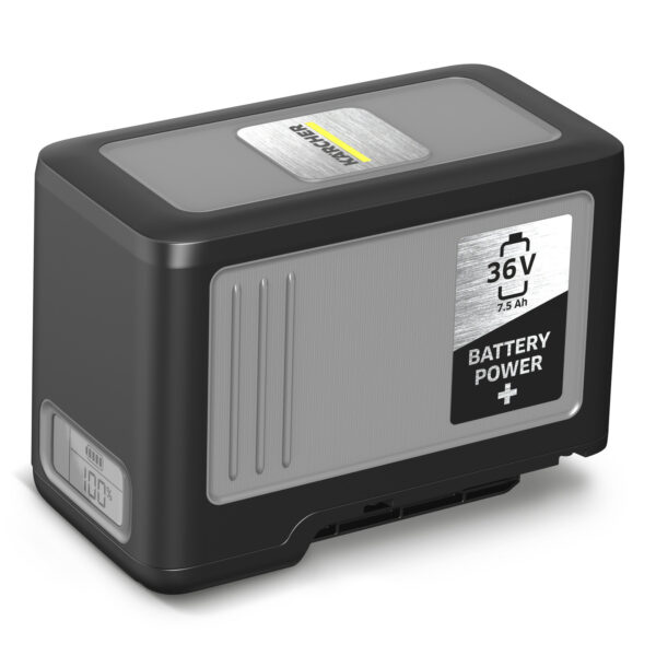 Akumuliatorius Battery Power+ 36/75